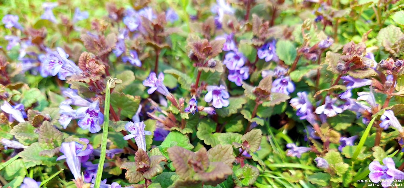 68113CrLe - Victoria Day Weekend getaway with Beth to Peterborough - Relaxing by the Otonobee